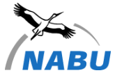 Nabu.am